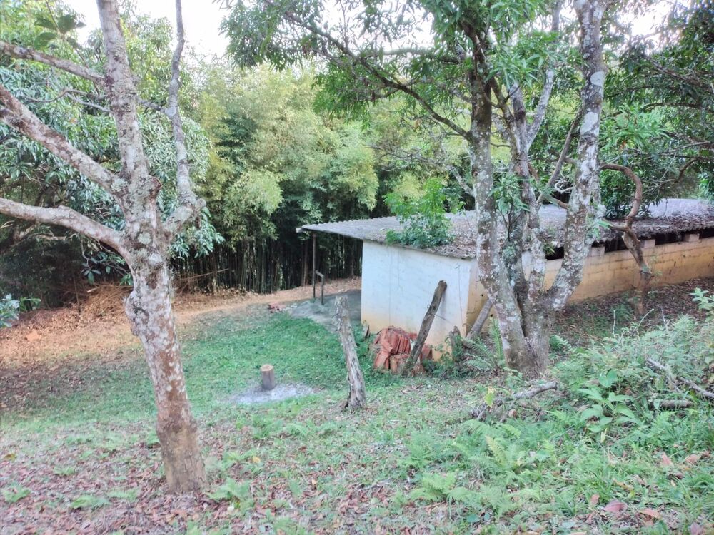 Chácara, 3 quartos, 1 hectares - Foto 1