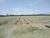 Fazenda-Sítio-Chácara, 45 m² - Foto 2