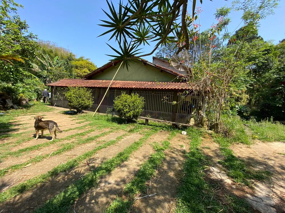 Fazenda à venda com 4 quartos, 8000m² - Foto 2