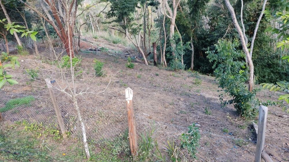 Chácara, 3 quartos, 3 hectares - Foto 11