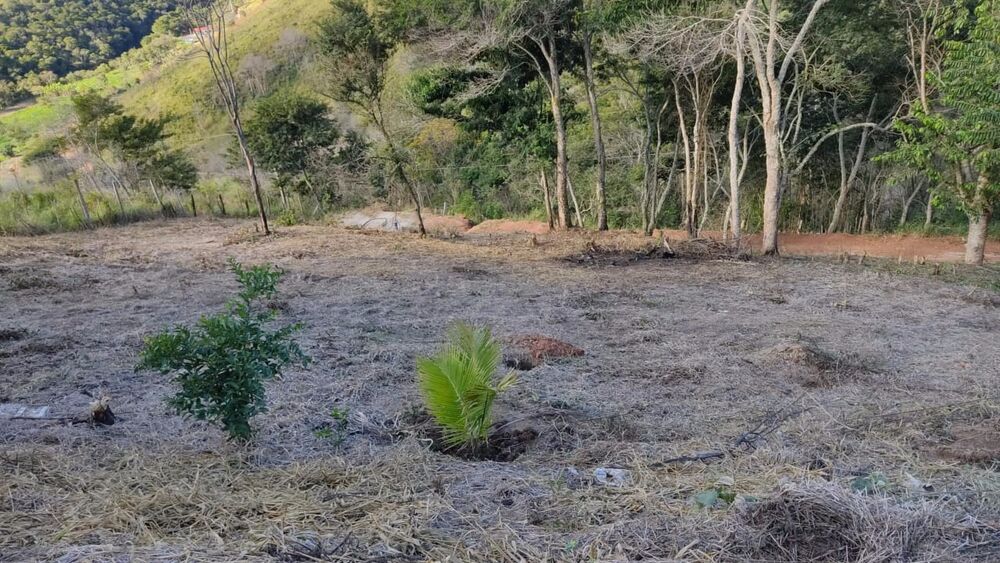 Chácara, 3 quartos, 3 hectares - Foto 12