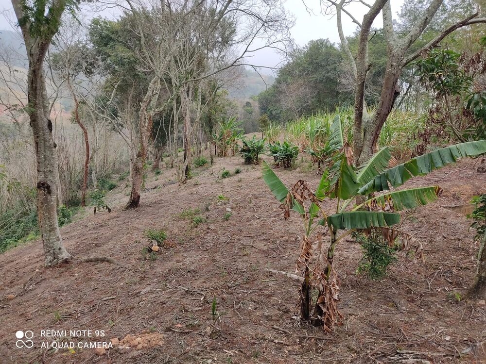 Chácara, 3 quartos, 3 hectares - Foto 15