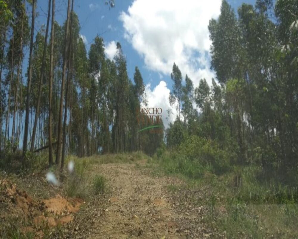 Haras e Área Rural Padrão à venda, 186340m² - Foto 1