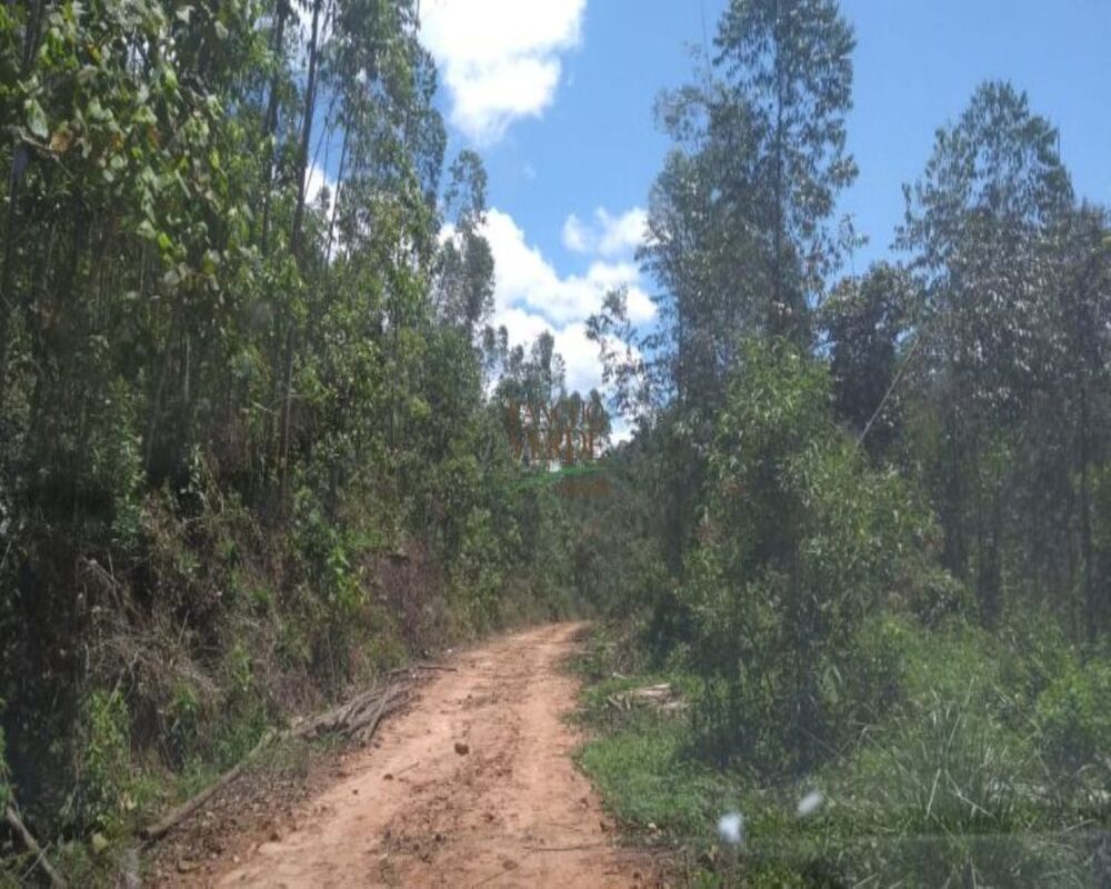 Haras e Área Rural Padrão à venda, 186340m² - Foto 3