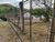 Fazenda, 2300 m² - Foto 4