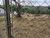 Fazenda, 2300 m² - Foto 3