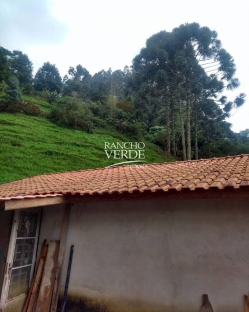 Chácara, 1 hectares - Foto 3