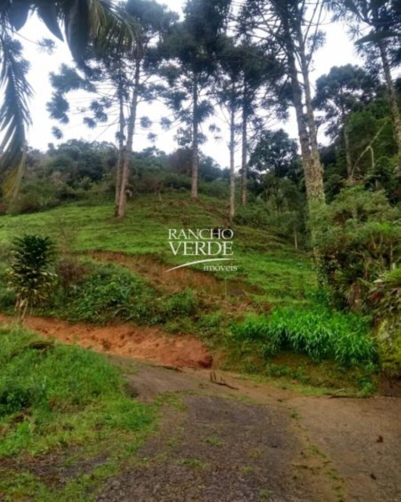 Chácara, 1 hectares - Foto 2