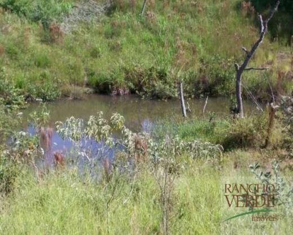 Fazenda-Sítio-Chácara, 306 hectares - Foto 13