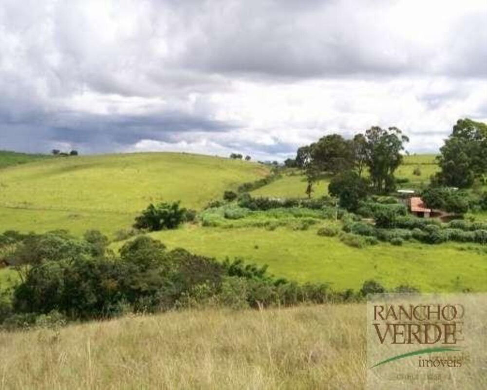 Fazenda-Sítio-Chácara, 306 hectares - Foto 4