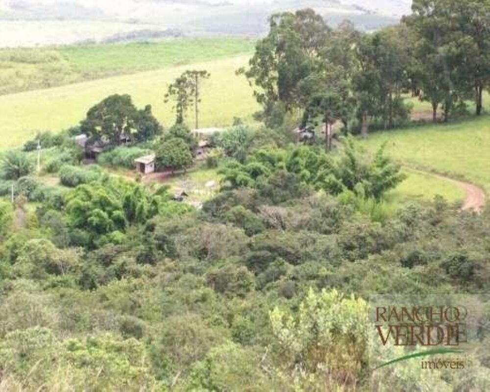 Fazenda-Sítio-Chácara, 306 hectares - Foto 1