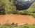Chácara, 3 quartos, 1 hectares - Foto 4