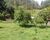 Chácara, 3 quartos, 1 hectares - Foto 3