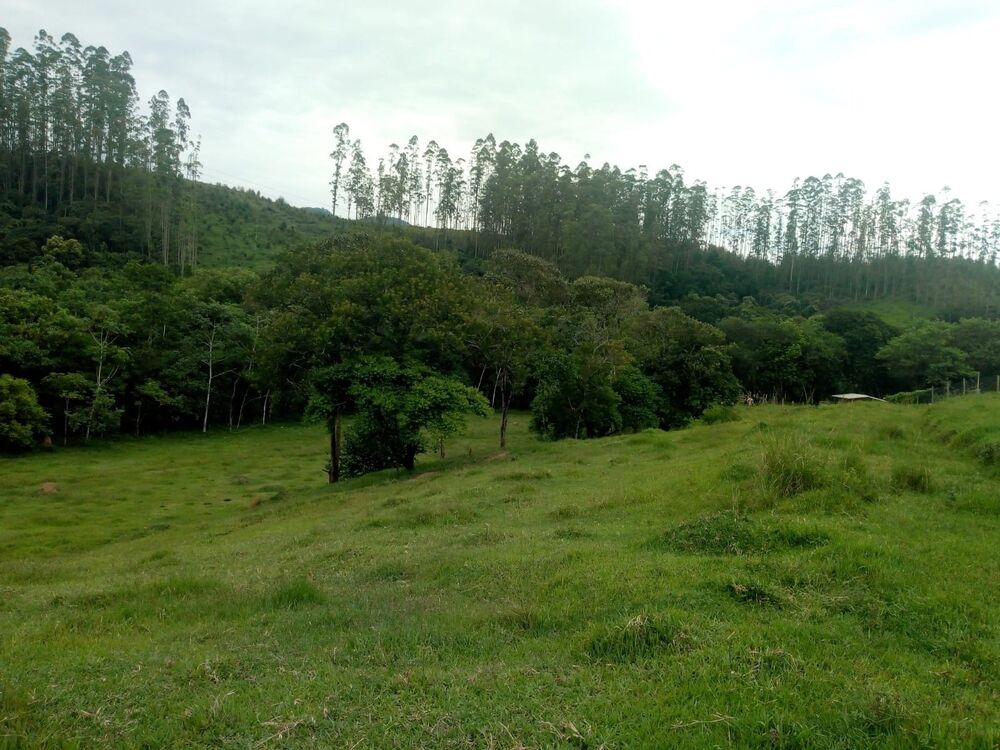 Haras e Área Rural Padrão à venda, 22000m² - Foto 1