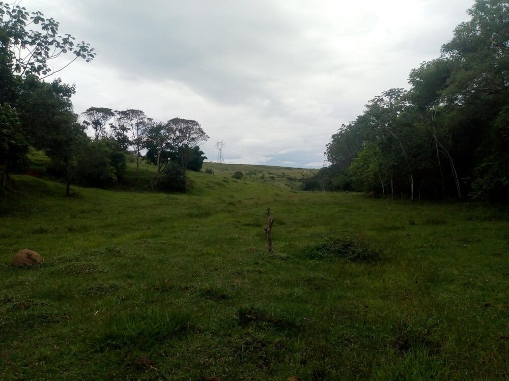 Haras e Área Rural Padrão à venda, 22000m² - Foto 6
