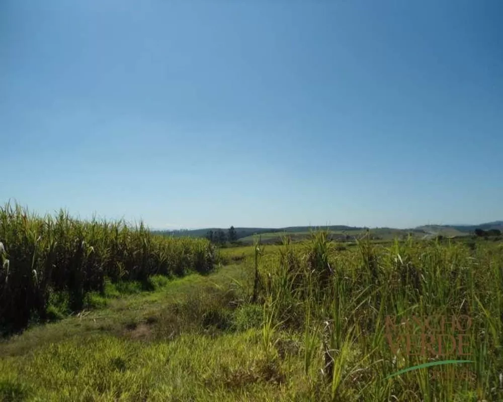 Haras e Área Rural Padrão à venda, 72000m² - Foto 3