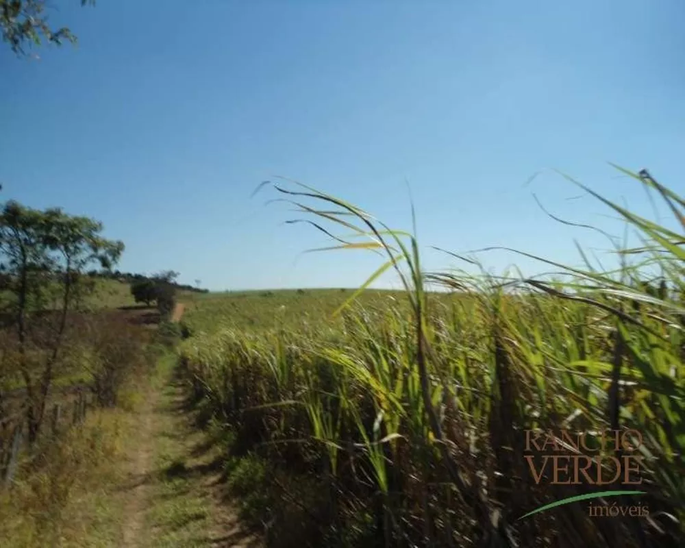 Haras e Área Rural Padrão à venda, 72000m² - Foto 2