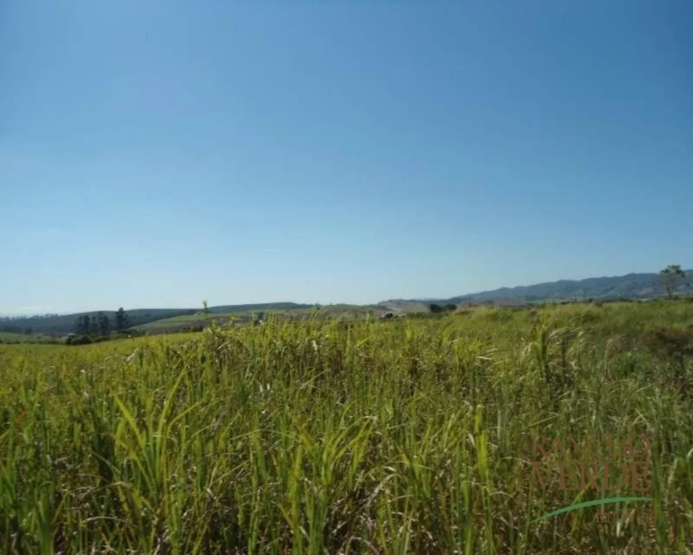 Haras e Área Rural Padrão à venda, 72000m² - Foto 4