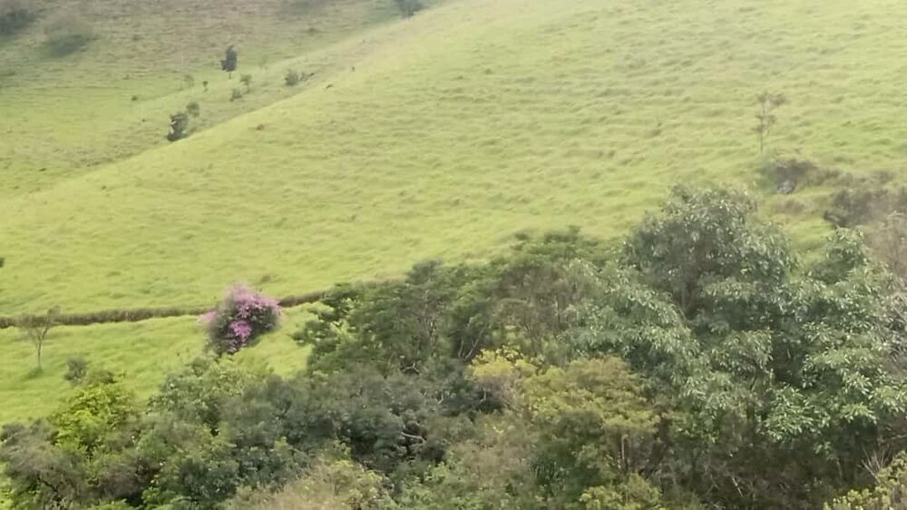 Sítio, 8 m² - Foto 3