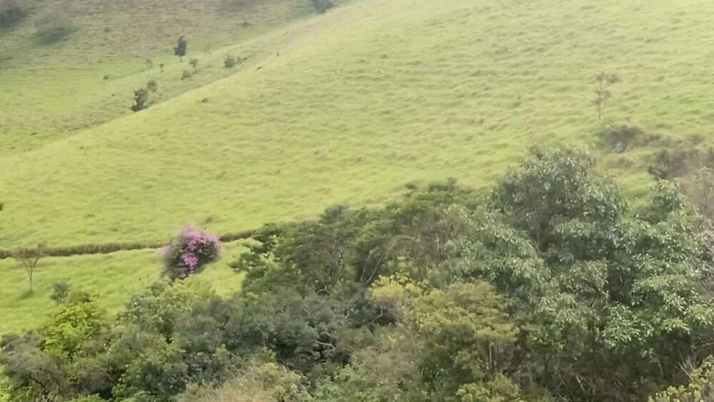 Sítio, 8 m² - Foto 11