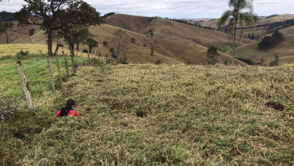 Sítio, 8 m² - Foto 7