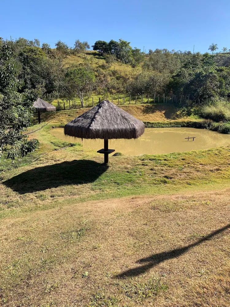 Fazenda à venda com 3 quartos, 2m² - Foto 7