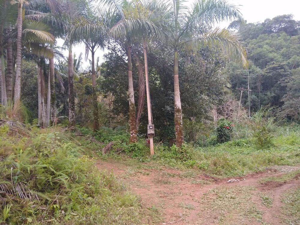 Sítio à venda com 2 quartos, 10m² - Foto 4
