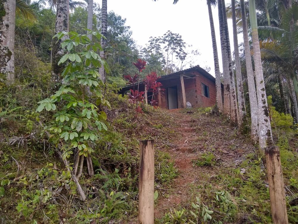 Sítio à venda com 2 quartos, 10m² - Foto 6