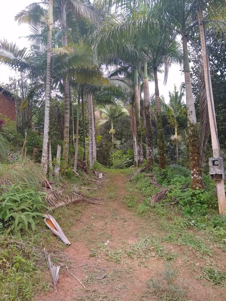 Sítio à venda com 2 quartos, 10m² - Foto 5