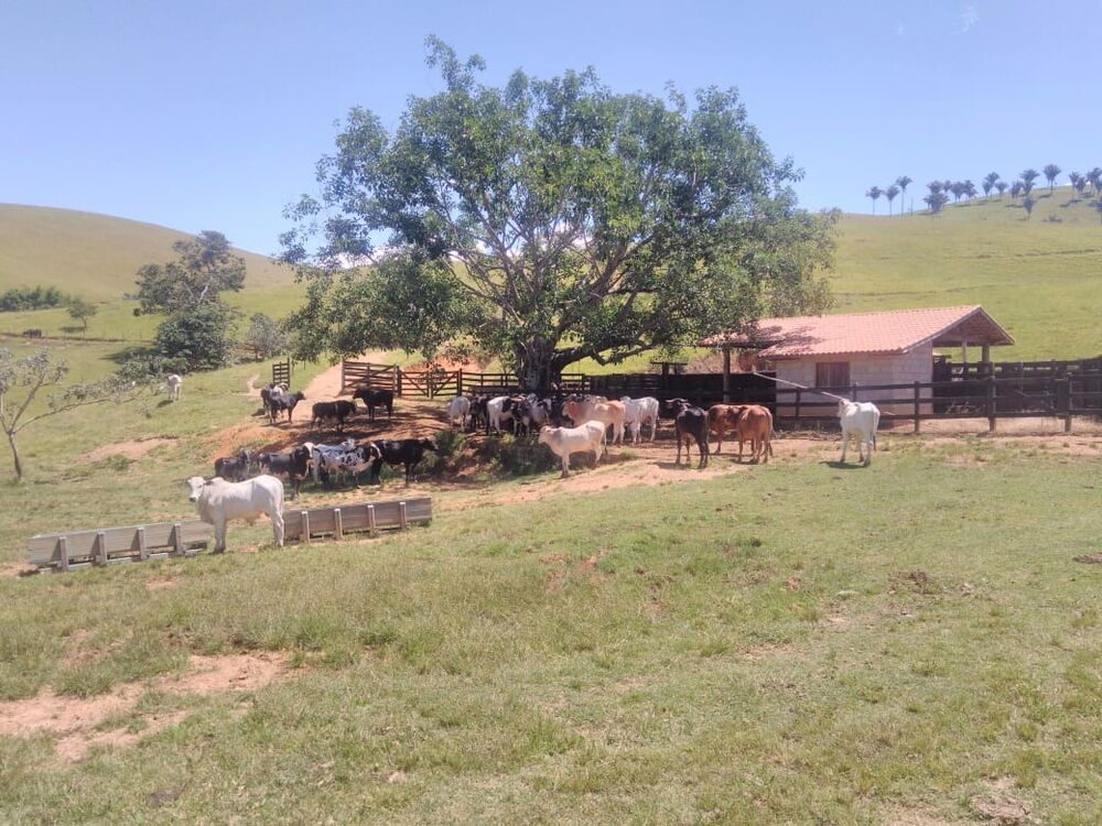 Fazenda à venda, 225m² - Foto 23