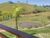 Fazenda-Sítio-Chácara, 225 m² - Foto 2