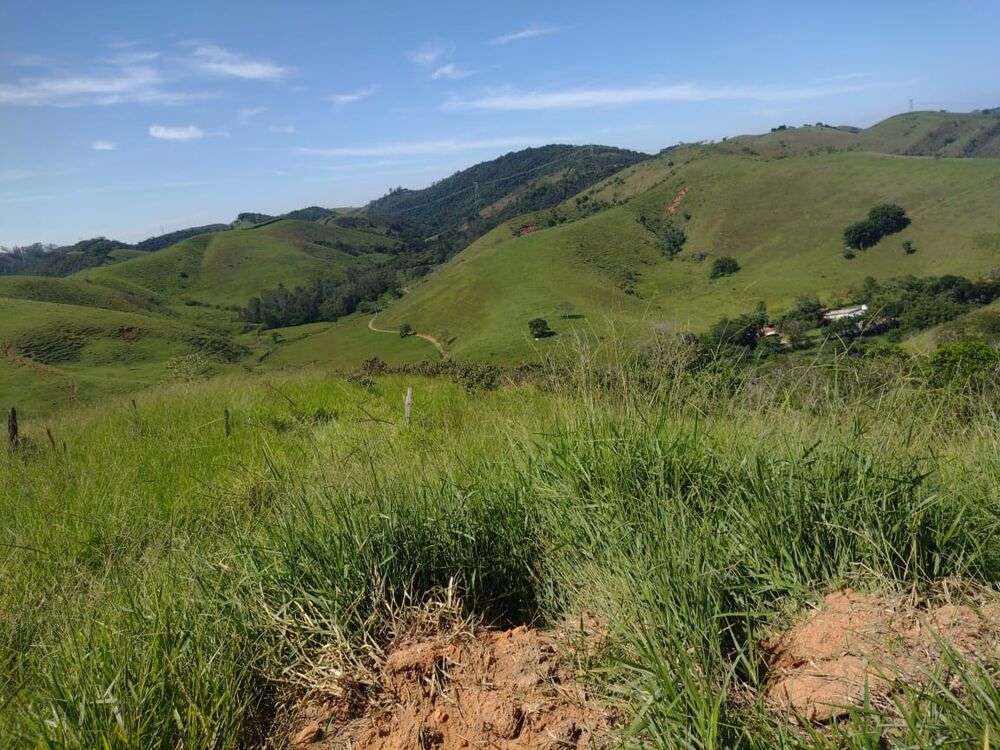 Haras e Área Rural Padrão à venda, 40000m² - Foto 1