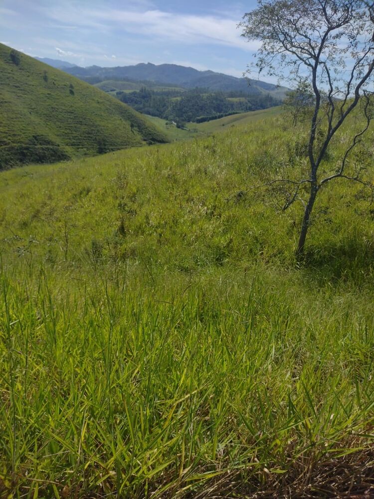 Haras e Área Rural Padrão à venda, 40000m² - Foto 7