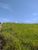 Fazenda, 4 hectares - Foto 14