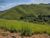 Fazenda, 4 hectares - Foto 11