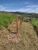 Fazenda, 4 hectares - Foto 5