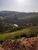 Fazenda, 4 hectares - Foto 9