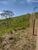 Fazenda, 4 hectares - Foto 8