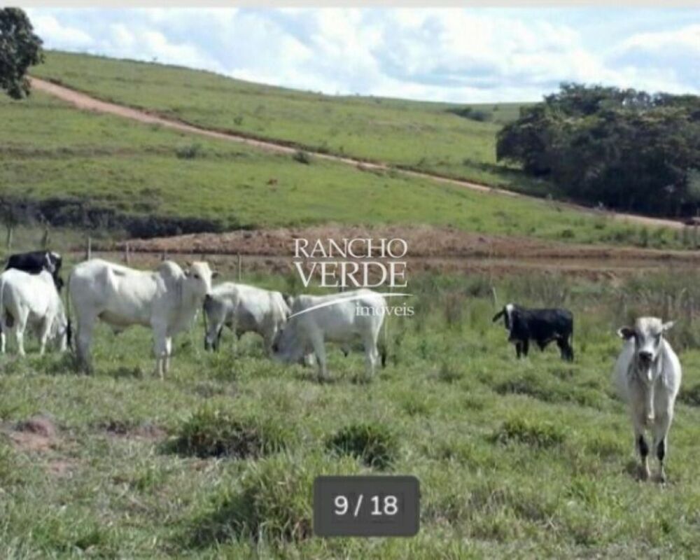 Fazenda, 289 hectares - Foto 3
