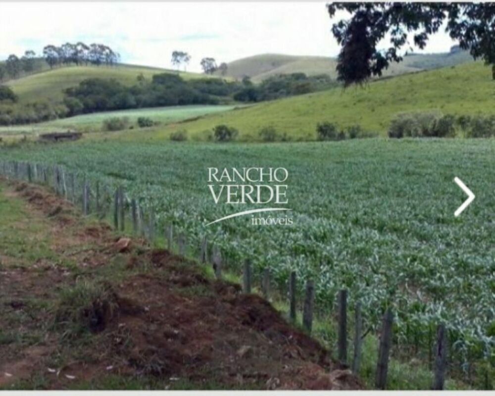 Fazenda, 289 hectares - Foto 4
