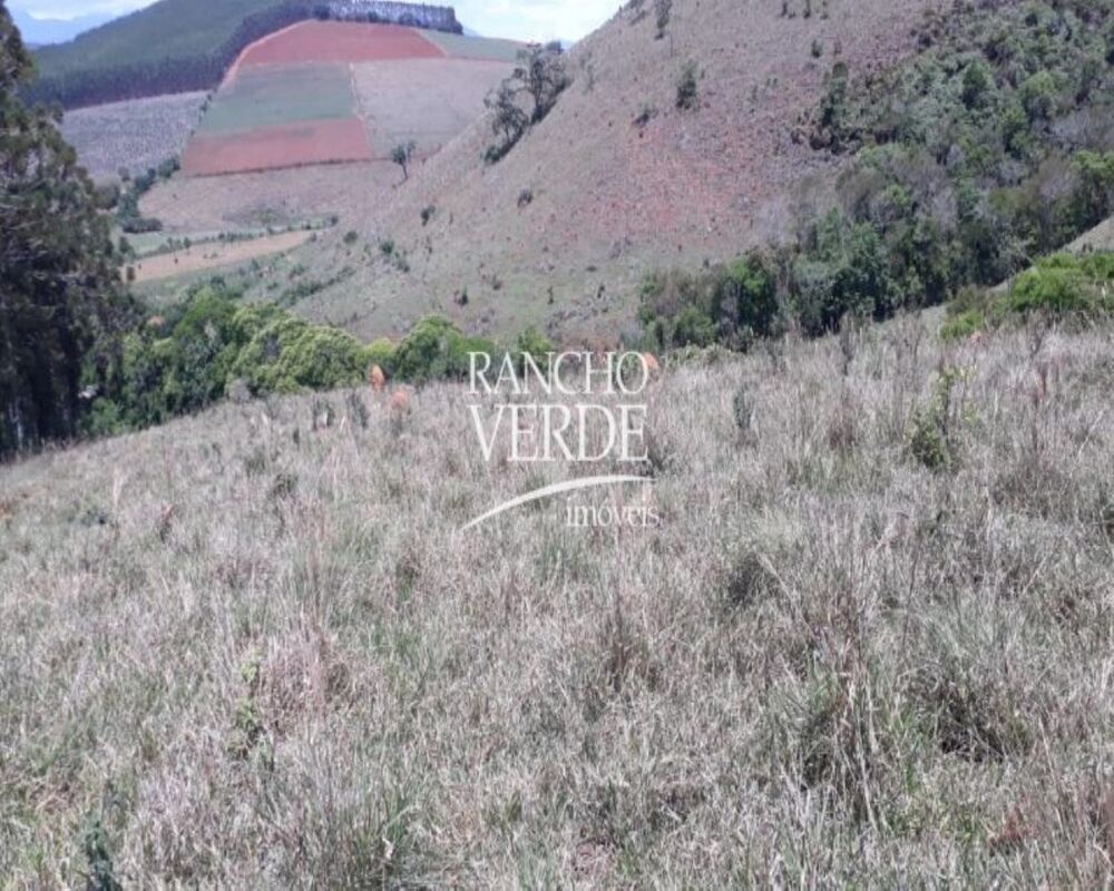 Fazenda, 169 hectares - Foto 16