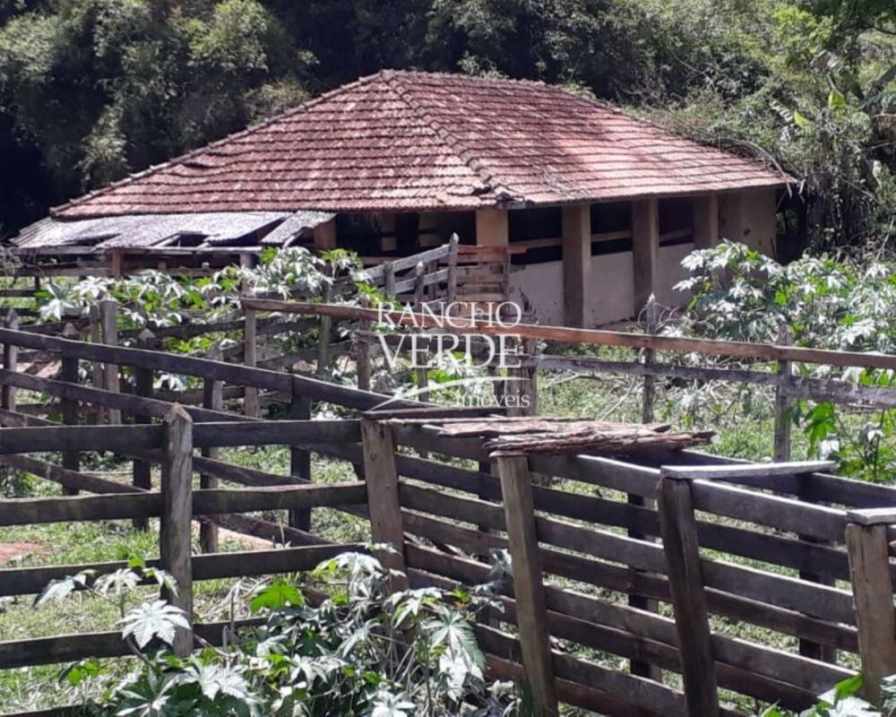 Fazenda, 169 hectares - Foto 4