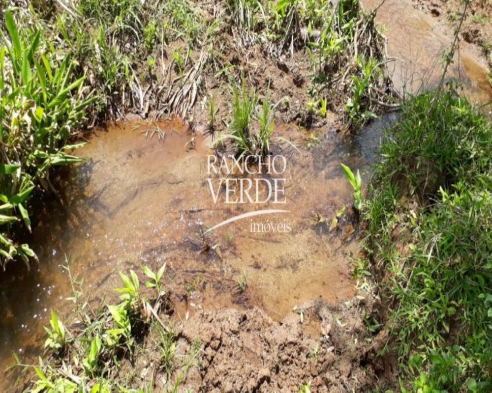 Fazenda, 169 hectares - Foto 12