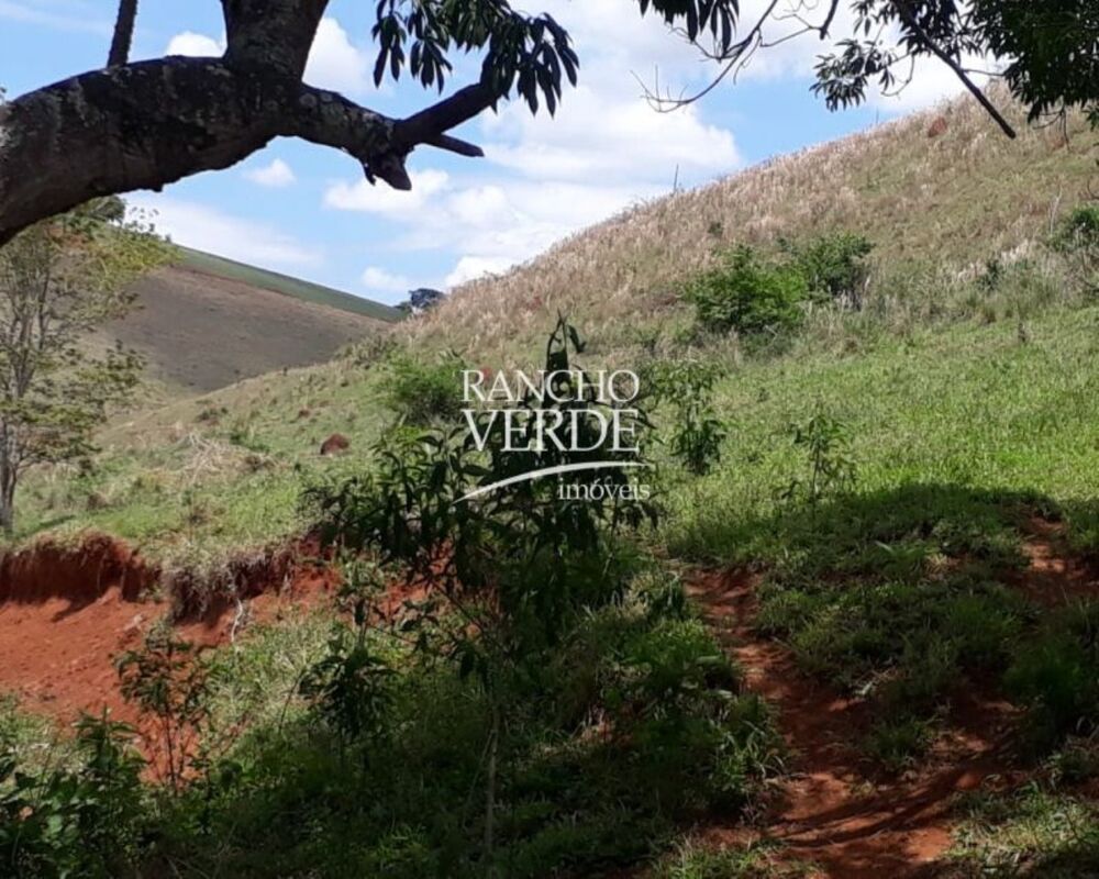 Fazenda, 169 hectares - Foto 10