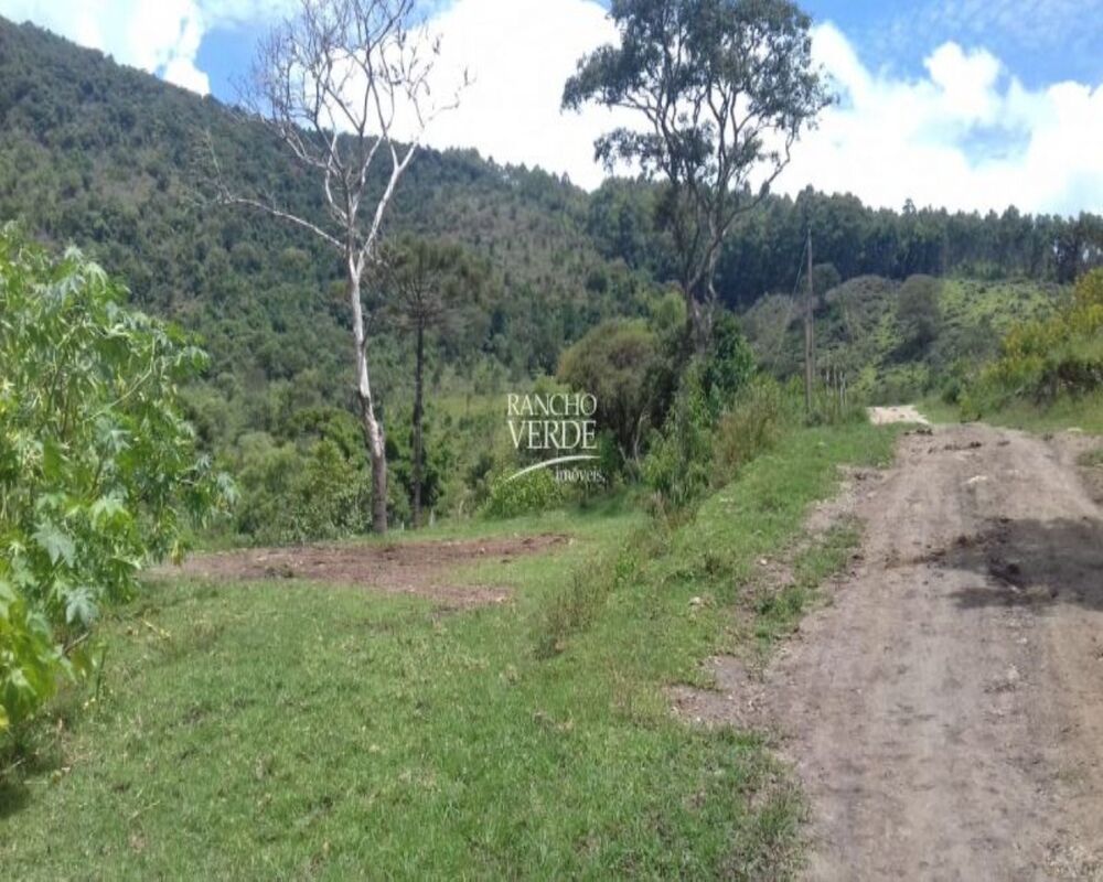 Fazenda, 111 hectares - Foto 2