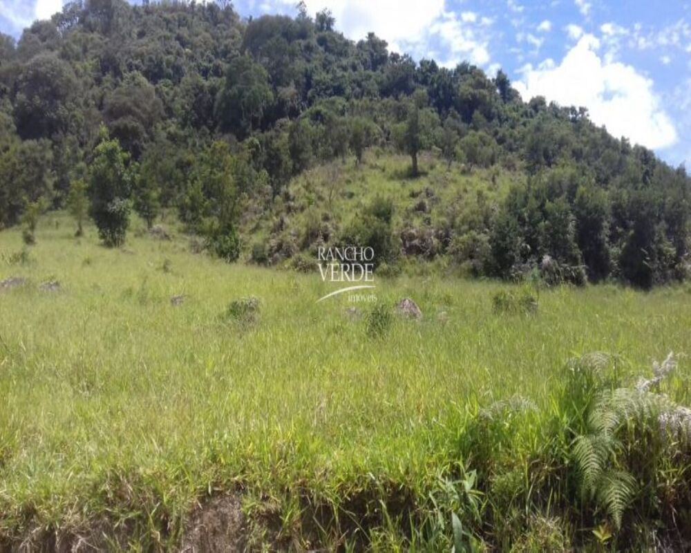Fazenda, 111 hectares - Foto 4