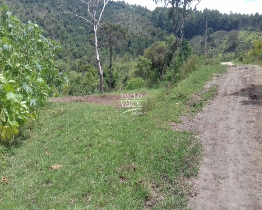 Fazenda, 111 hectares - Foto 1