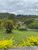 Sítio, 5 quartos, 2 hectares - Foto 4