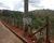 Fazenda-Sítio-Chácara, 1500 m² - Foto 4