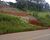 Fazenda-Sítio-Chácara, 1500 m² - Foto 2
